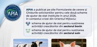 APIA a publicat Ghidurile pentru schemele de ajutor de stat destinate crescătorilor de bovine și suine