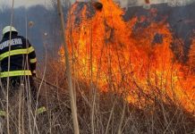 Cod portocaliu de caniculă în Olt. ISU avertizează asupra riscului de incendii de vegetație