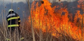 Cod portocaliu de caniculă în Olt. ISU avertizează asupra riscului de incendii de vegetație
