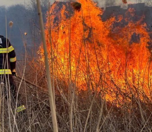 Cod portocaliu de caniculă în Olt. ISU avertizează asupra riscului de incendii de vegetație