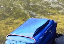 Descoperire macabra: Tânără ucisă, găsită într-o valiză pe Olt. Iubitul dat in urmarire
