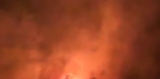 Intervenții susținute pentru stingerea incendiilor din Parcul Național Domogled