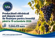 APIA: Producătorii vitivinicoli pot depune cereri de finanțare pentru investiții până la 19 octombrie 2026