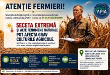 APIA: Fermierii afectați de secetă și alte fenomene naturale trebuie să notifice situațiile de forță majoră în termen de 15 zile lucrătoare