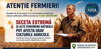 APIA: Fermierii afectați de secetă și alte fenomene naturale trebuie să notifice situațiile de forță majoră în termen de 15 zile lucrătoare