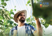 Fondurile acordate prin PS 2027 pentru exploatațiile agricole ale tinerilor fermieri