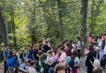 Peste 100 de angajați ai Primăriei Slatina au ieșit la curățenie: „Schimbarea începe cu fiecare dintre noi”