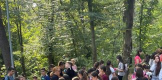 Peste 100 de angajați ai Primăriei Slatina au ieșit la curățenie: „Schimbarea începe cu fiecare dintre noi”