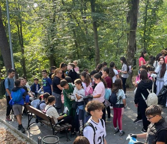 Peste 100 de angajați ai Primăriei Slatina au ieșit la curățenie: „Schimbarea începe cu fiecare dintre noi”