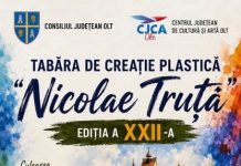 TABĂRA DE CREAȚIE PLASTICĂ „NICOLAE TRUȚĂ”- Ediția a XXII-a | Bran, 22–28 august 2026