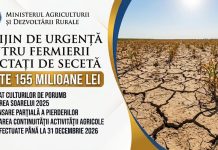 Sprijin financiar de urgență pentru agricultorii afectați de secetă