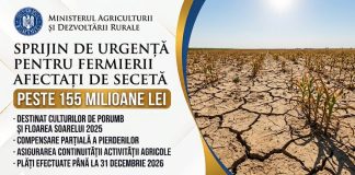 Sprijin financiar de urgență pentru agricultorii afectați de secetă