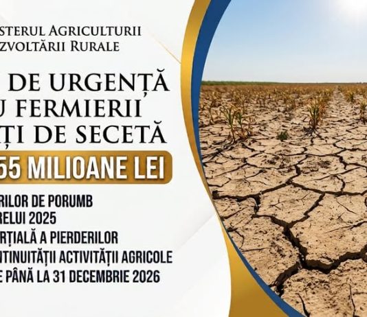 Sprijin financiar de urgență pentru agricultorii afectați de secetă