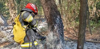 Pompierii olteni, în misiune în Bulgaria pentru stingerea incendiilor