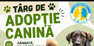 O casă pentru un suflet. Târg de adopție canină, sâmbătă, la Slatina.