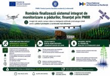 România finalizează sistemul integrat de monitorizare a pădurilor, finanțat prin PNRR
