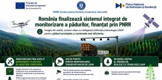 România finalizează sistemul integrat de monitorizare a pădurilor, finanțat prin PNRR
