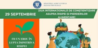 29 Septembrie – Ziua Internațională de Conștientizare a Pierderilor și Risipei Alimentare