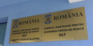 1.801 persoane angajate prin intermediul Agenţiei Judeţene pentru Ocuparea Forţei de Muncă Olt