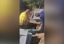 SCANDAL LA CIMITIRUL DIN SLATINA: OSEMINTE DESCOPERITE ÎNTR-O GROAPĂ. POLIȚIA A DESCHIS DOSAR PENAL.