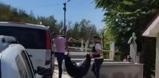 SCANDALUL DE LA CIMITIR IA AMPLOARE