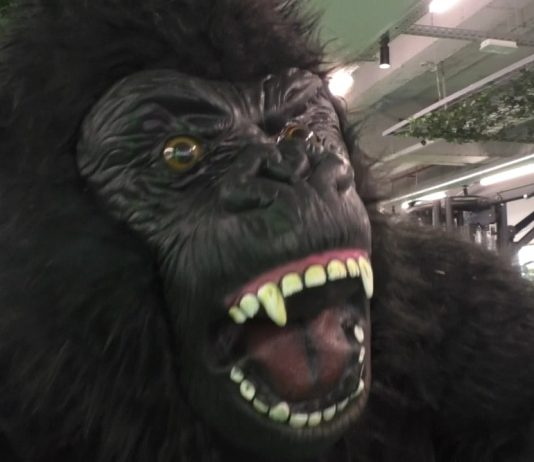 SLATINA INTRĂ ÎN TRIBUL GORILLA