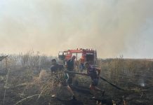PRIMAR, FĂRĂ PERMIS ÎN DRUM SPRE INCENDIU