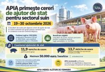 APIA primește cereri de ajutor de stat pentru sectorul suin în perioada 19–30 octombrie