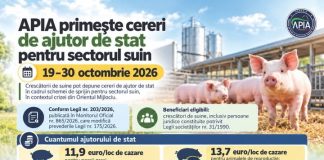 APIA primește cereri de ajutor de stat pentru sectorul suin în perioada 19–30 octombrie