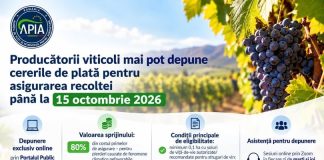 Producătorii viticoli mai pot depune cererile de plată pentru asigurarea recoltei până la 15 octombrie 2026