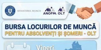257 DE LOCURI DE MUNCĂ, DISPONIBILE LA BURSA PENTRU ABSOLVENȚI