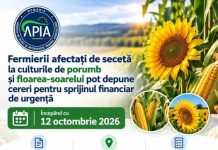 Peste 155 de milioane de lei pentru fermierii afectați de secetă: APIA începe primirea cererilor pe 12 octombrie