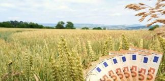 Peste 589 de milioane de euro virate în conturile fermierilor pentru Campania 2026