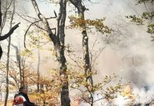 Imbunătățirea normelor pentru incendiile de pădure