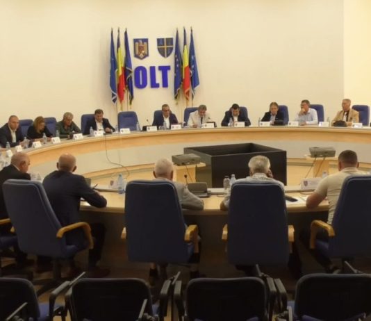 PARC FOTOVOLTAIC LA SCHITU ȘI POD NOU PE DJ 653