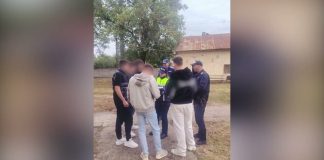 ACȚIUNI PENTRU SIGURANȚA ELEVILOR ȘI PREVENIREA COMPORTAMENTELOR DE RISC