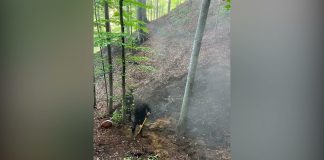 Situația incendiilor de vegetație și fond forestier complexe, înregistrate în județele Caras-Severin și Vâlcea
