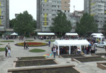 NORII ALUNGAȚI DE COPII