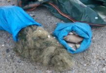 DOSARE PENALE PENTRU BRACONAJ