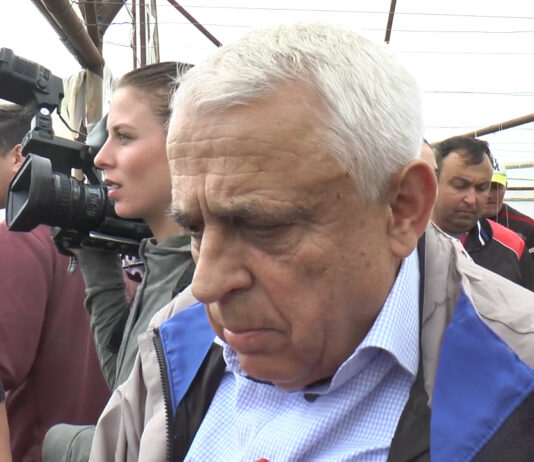 STĂNESCU NU ÎL SCHIMBĂ PE DAEA