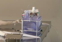 CAMPANIE GRATUITĂ DE STERILIZARE A CÂINILOR