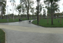 SLĂTINENII AU DECIS: PARCUL TINERETULUI