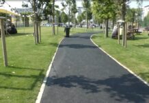 PARCUL TINERETULUI, UN LOC PENTRU RELAXARE