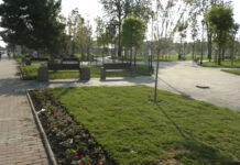 PATRU ZILE PÂNĂ LA STOP VOT