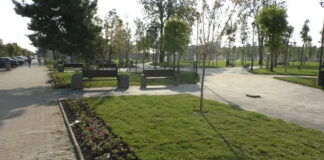 PATRU ZILE PÂNĂ LA STOP VOT