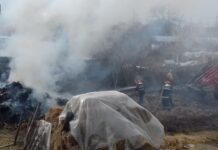 Anul trecut s-au produs peste 1100 incendii in Olt. Atentie la focul deschis!