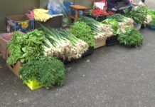 LEGUMELE AUTOHTONE ‘INTERZISE’ ÎN HIPERMARKETURI