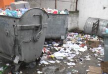 Pericolul vine și de la ghena de gunoi