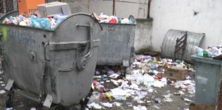 Pericolul vine și de la ghena de gunoi