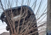 Un conducator auto din Crampoia a intrat in coliziune cu un copac